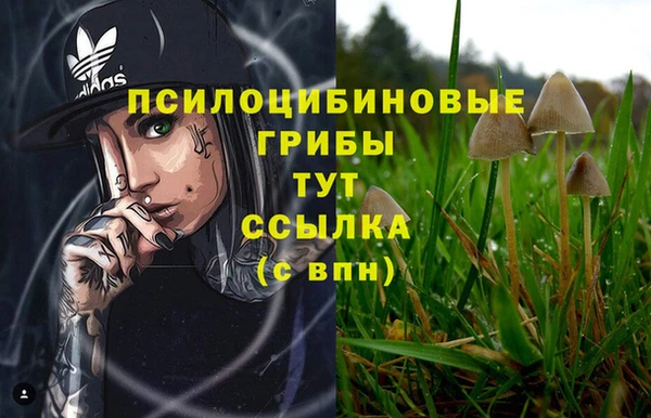 соль курить ск Каменногорск
