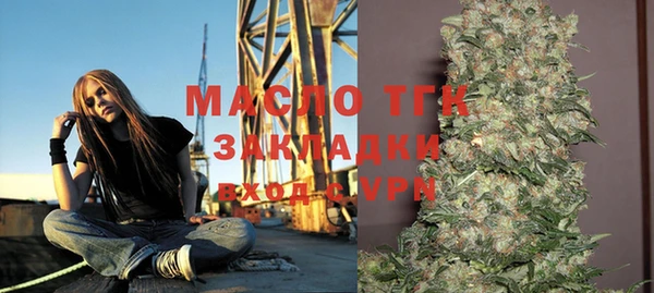 прущие крисы Каменка