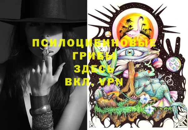 прущие крисы Каменка