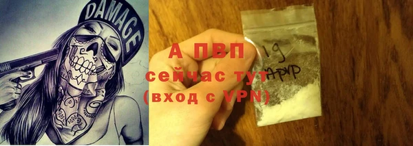 прущие крисы Каменка