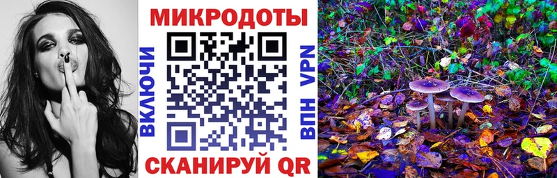 Псилоцибиновые грибы мицелий Осташков